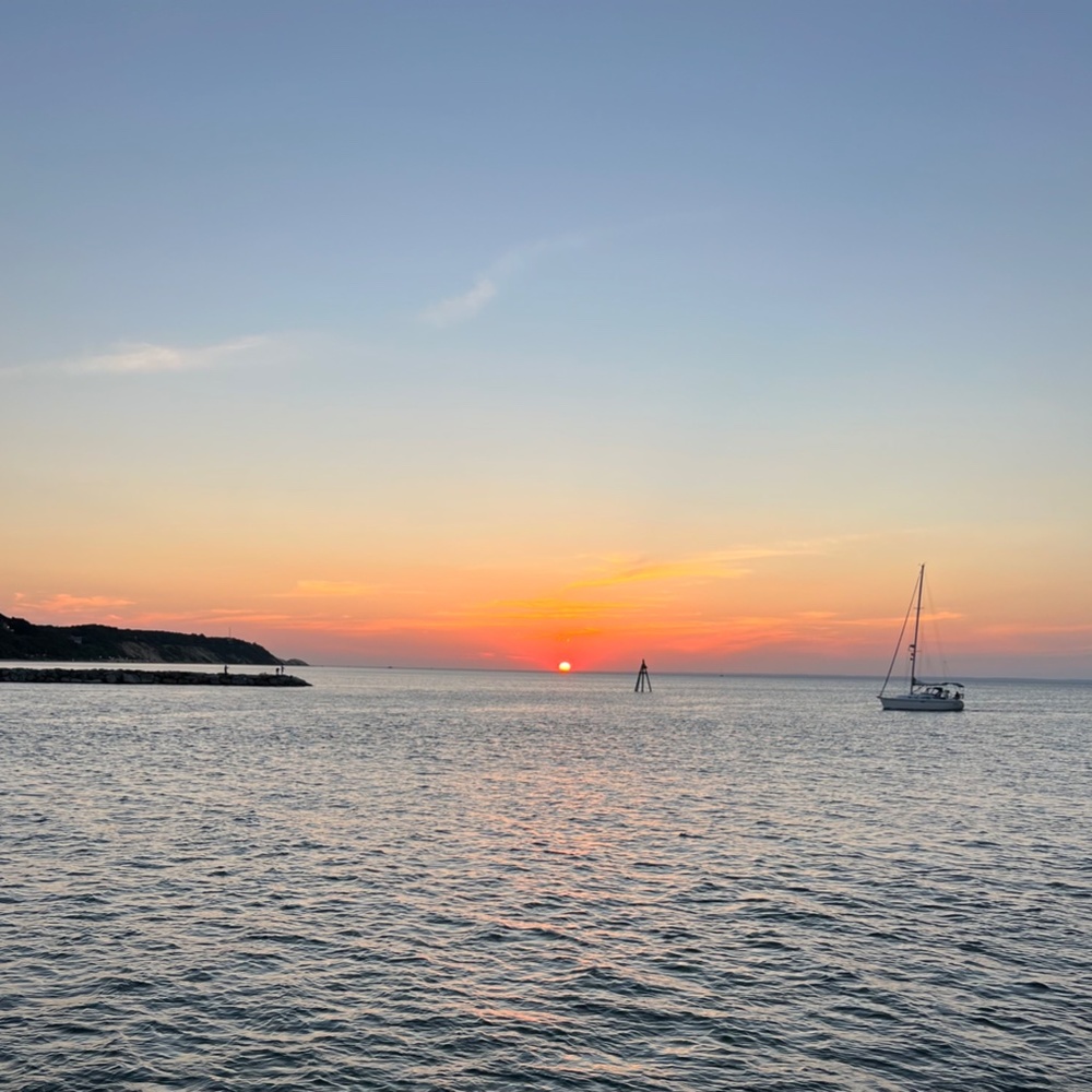 Meet your Posher, Patricia